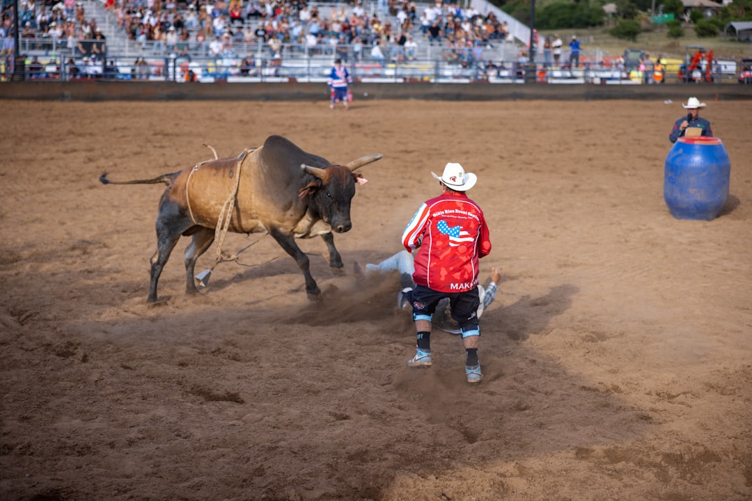 Zonovergoten Western Festival trekt vele bezoekers naar feesttent Molenaarsgraaf