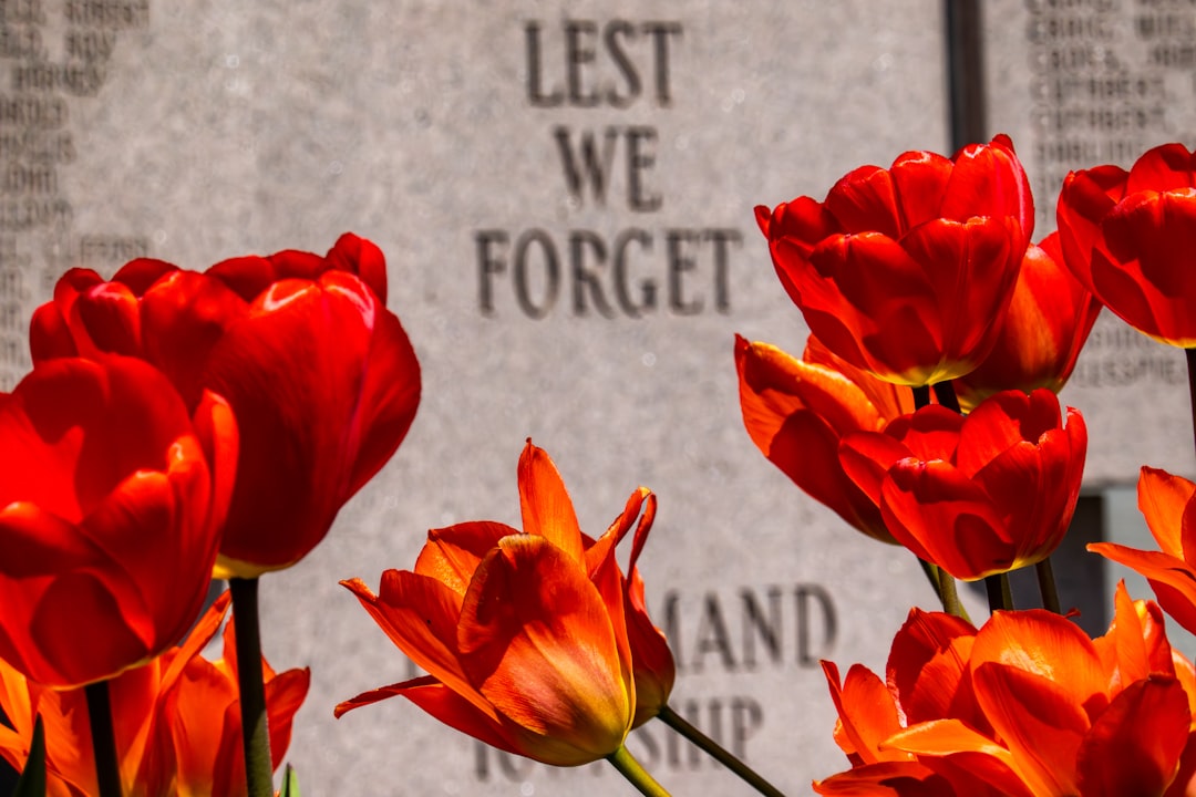 Dodenherdenking 4 mei 2026