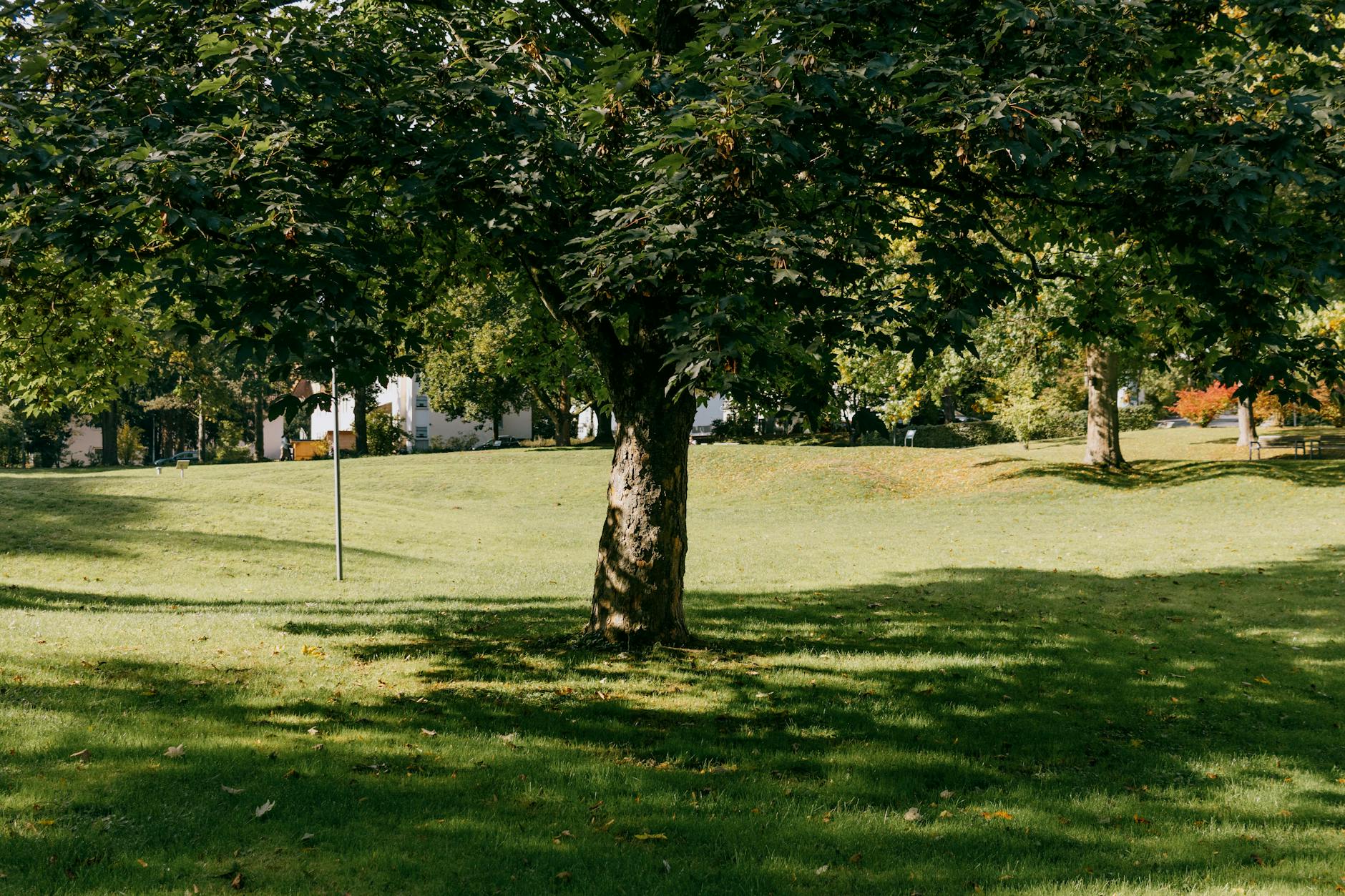Rotterdamse parken weer in de spotlights tijdens Parkenmaand