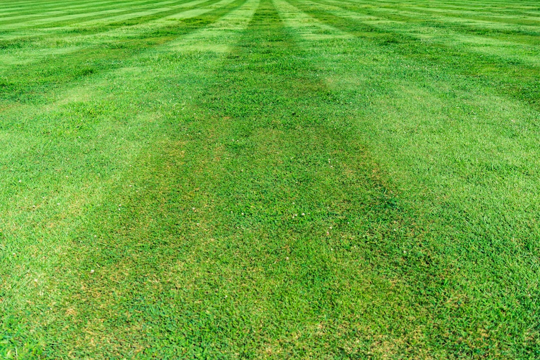 Welke plagen nu juist voorkomen in grasvelden en tuinen en hoe deze te bestrijden