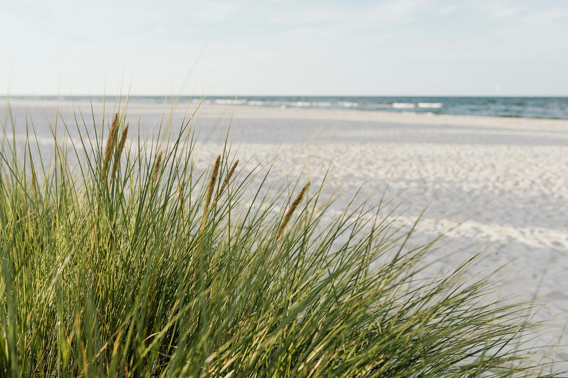 Bijeenkomst: Toekomst van het strand