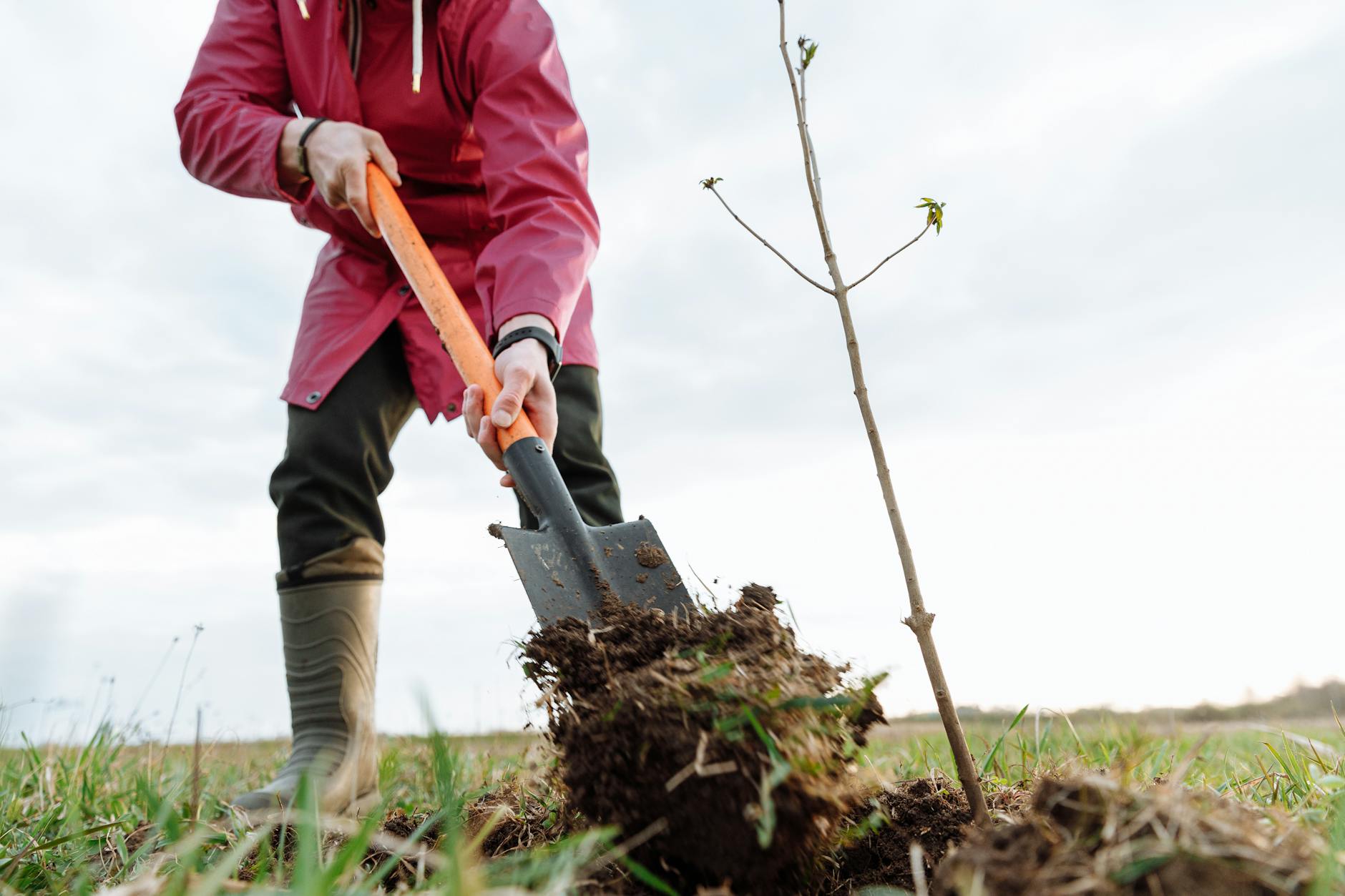 Aanvraag omgevingsvergunning, Het kappen en herplanten van twee bomen, Kanaalweg 21, 3526KL Utrecht, GU-Z2026-0053578 gmb-2026-224310