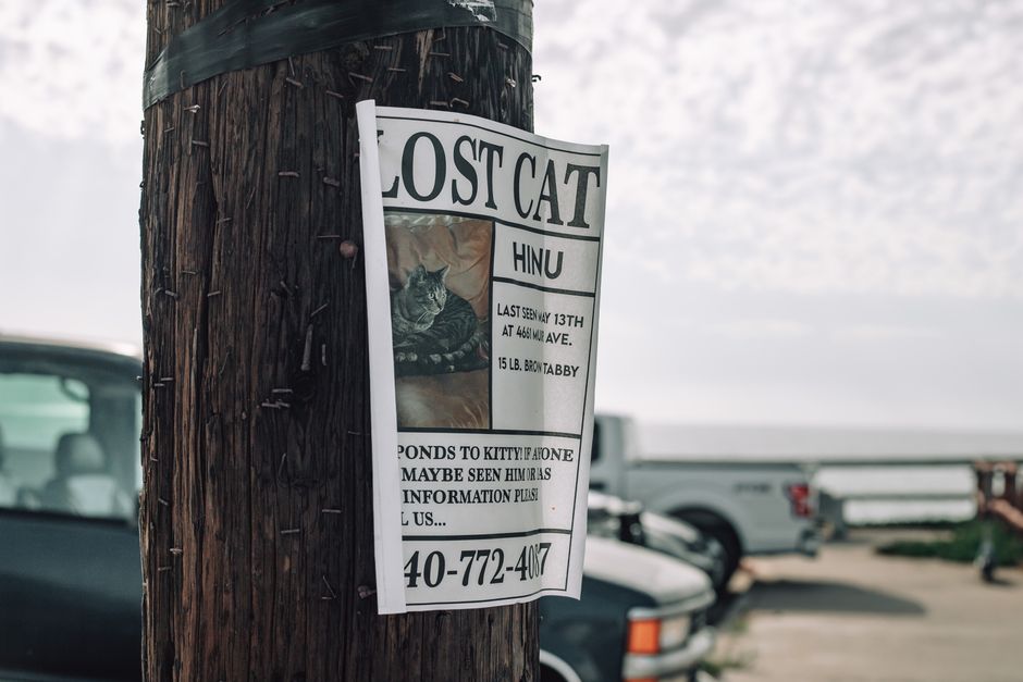 Puk (20) wordt vermist, Dirk speelt tot diep in de nacht mondharmonica in de wijk om haar te vinden