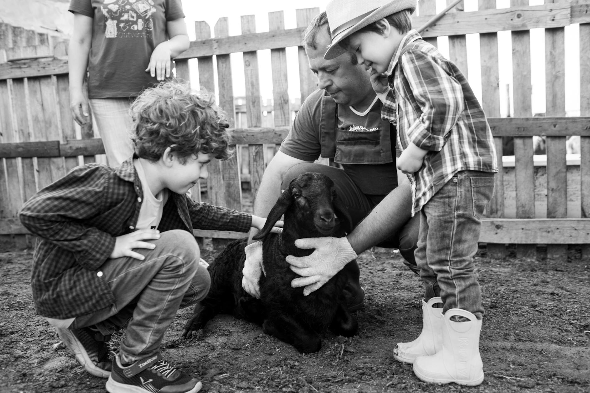 Kinderboerderij wordt groter: wat zou jij er nog bij willen hebben?
