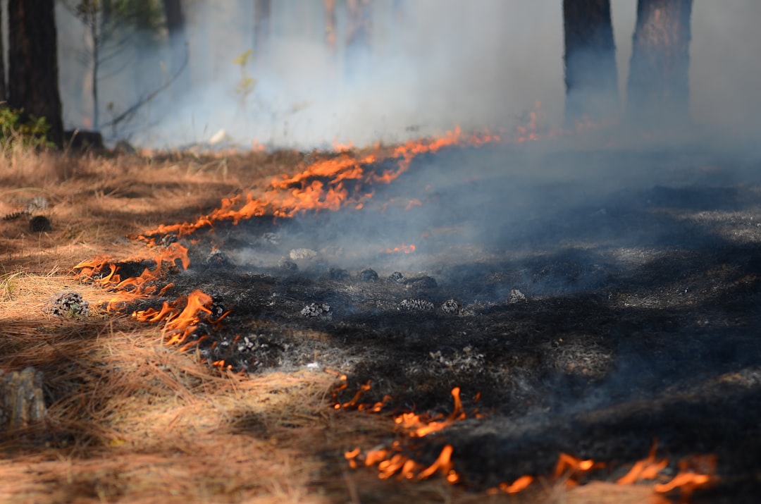 Aanhouding voor brandstichting: meerdere brandhaarden langs N277 bij Kessel