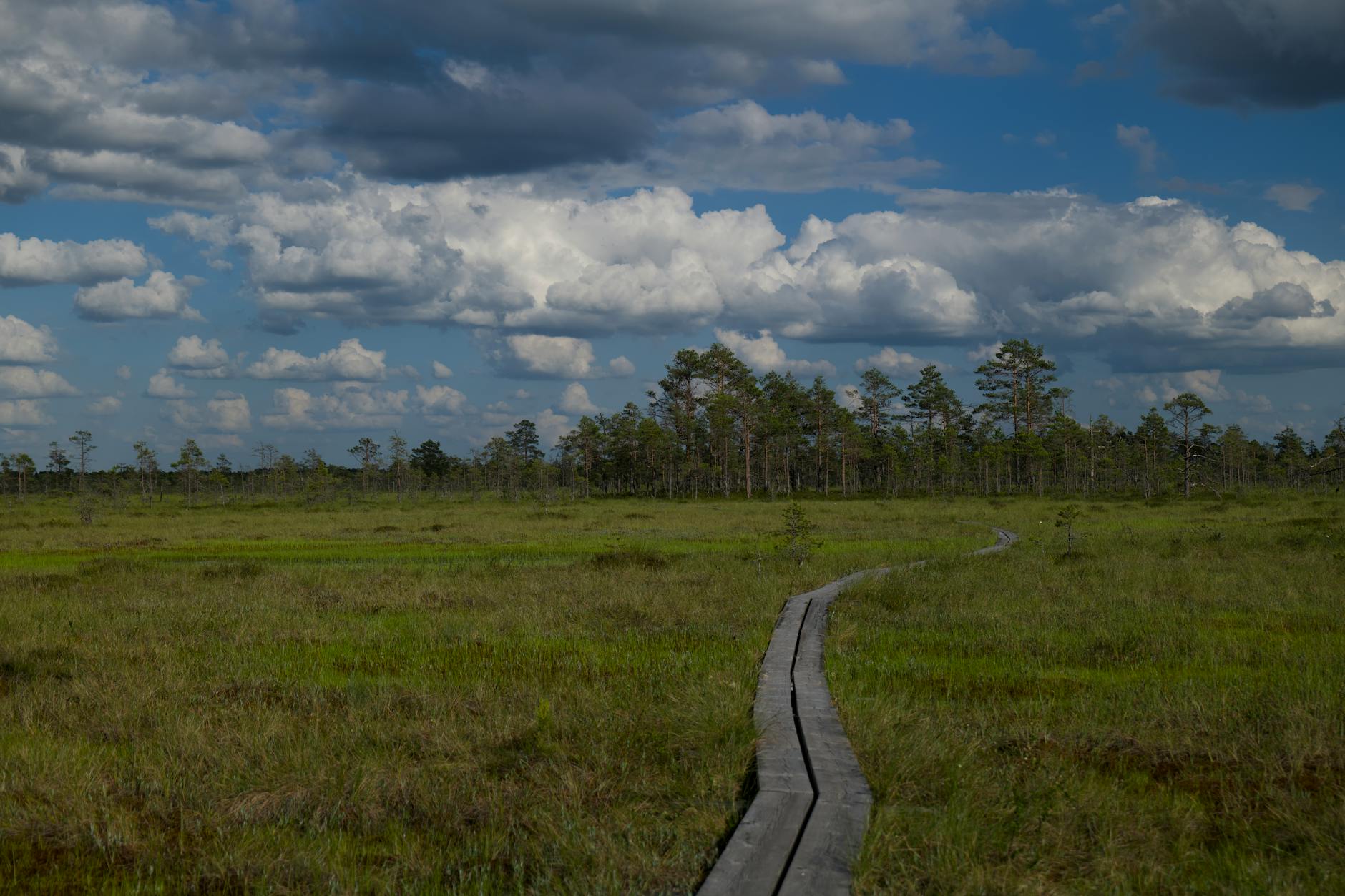 Nationaal Park De Groote Peel krijgt nieuwe naam: voortaan ‘De Peel’ - Omroep Horst aan de Maas