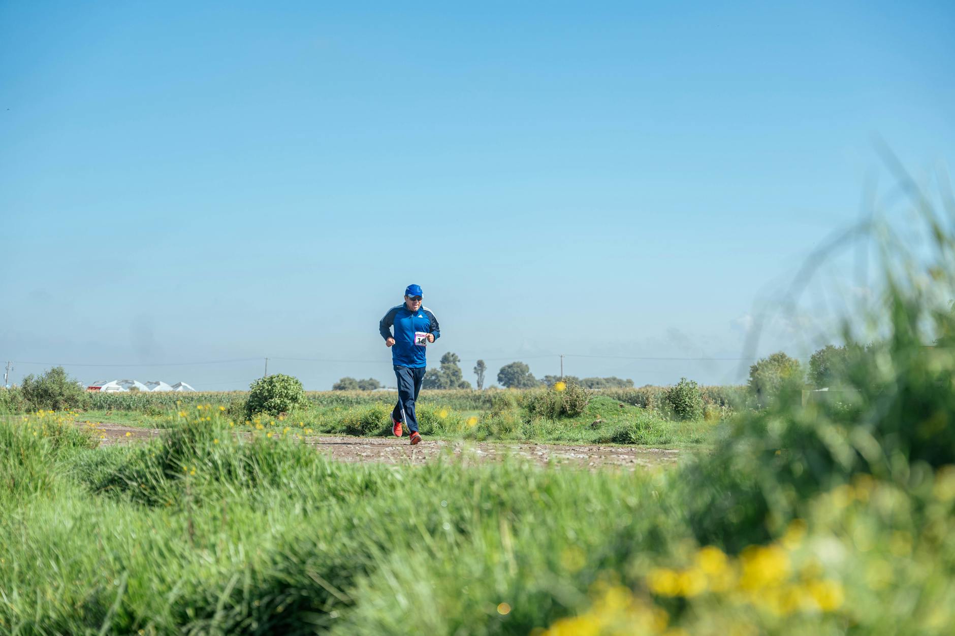 Marathon The Hague loopt dwars door Westland: 15 kilometer langs dorpskernen en kassen