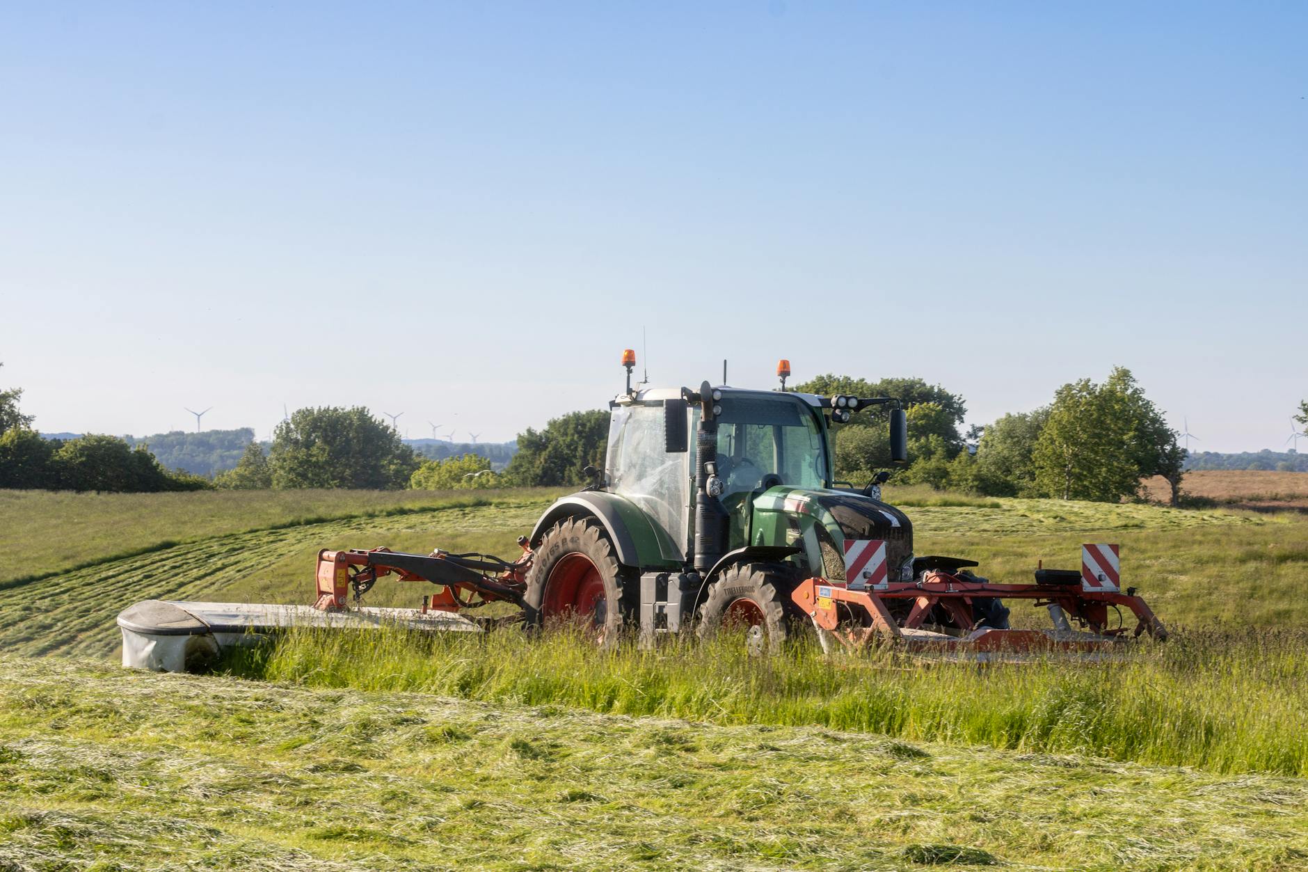 Partij Groen stelt vragen bij maaibeleid en biodiversiteit in Hasselt: “Waarom werd er al gemaaid voor 15 juni?” - HLN